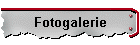 Fotogalerie