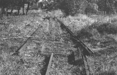 gliwicewąsk.jpg (179715 bytes)