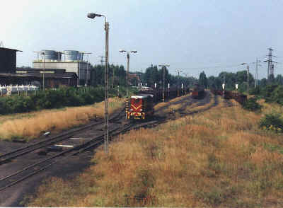 maciej.jpg (62451 bytes)